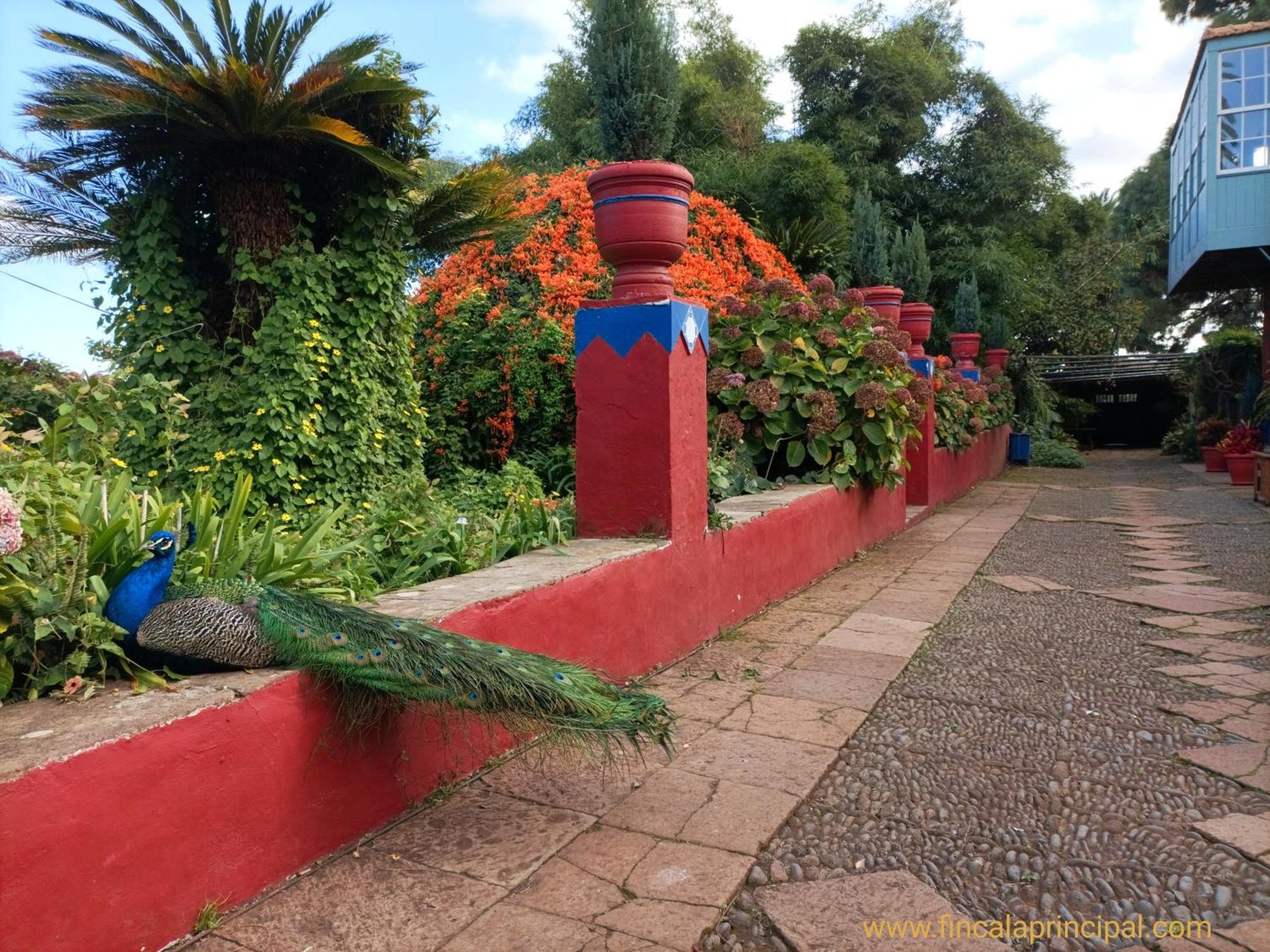 Finca La Principal Брения-Альта Экстерьер фото