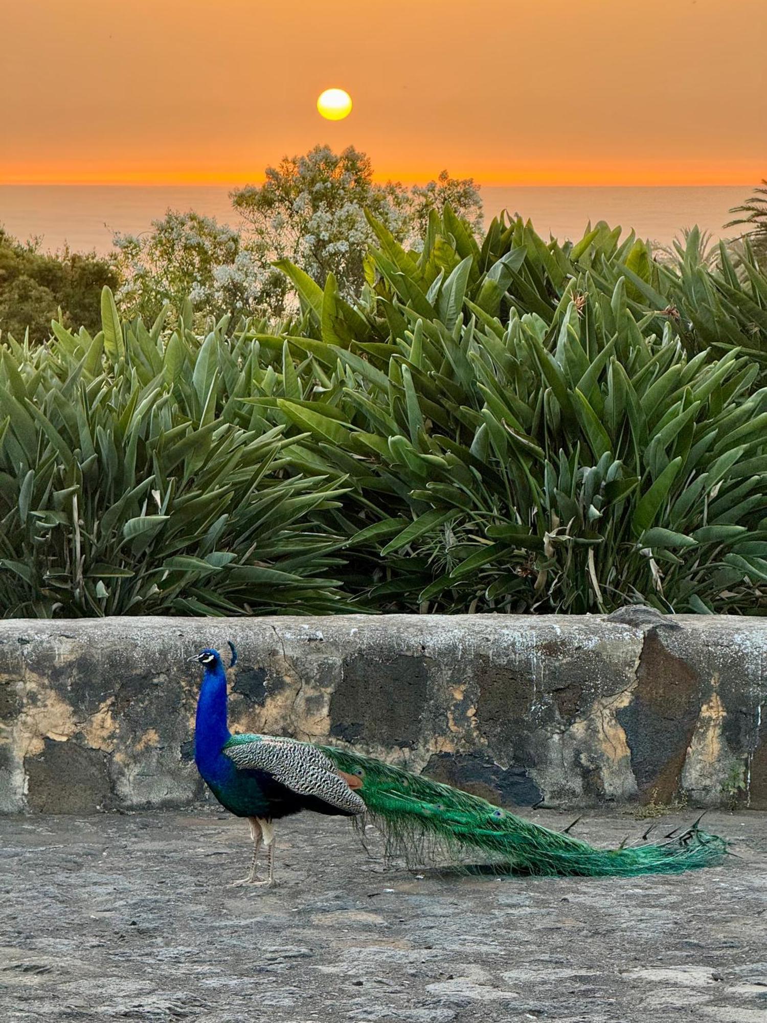 Finca La Principal Брения-Альта Экстерьер фото