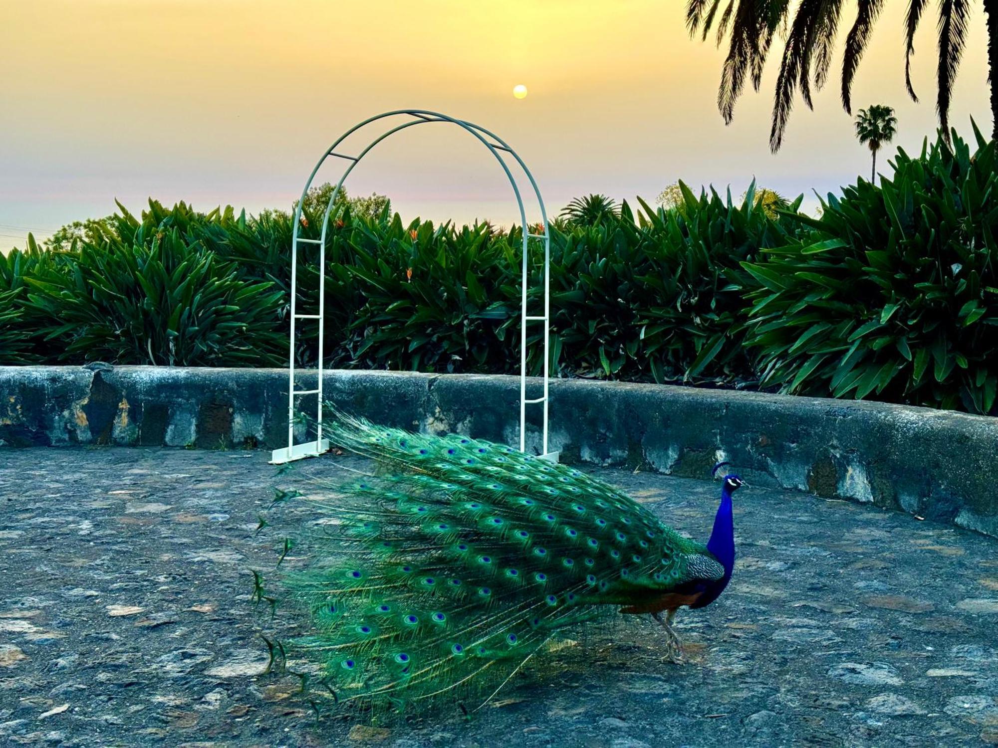 Finca La Principal Брения-Альта Экстерьер фото