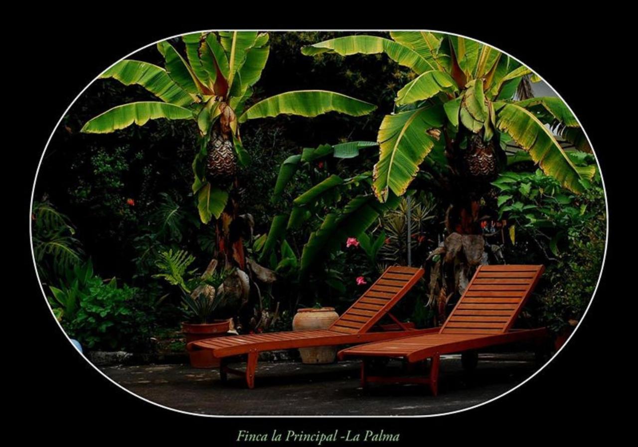 Finca La Principal Брения-Альта Экстерьер фото