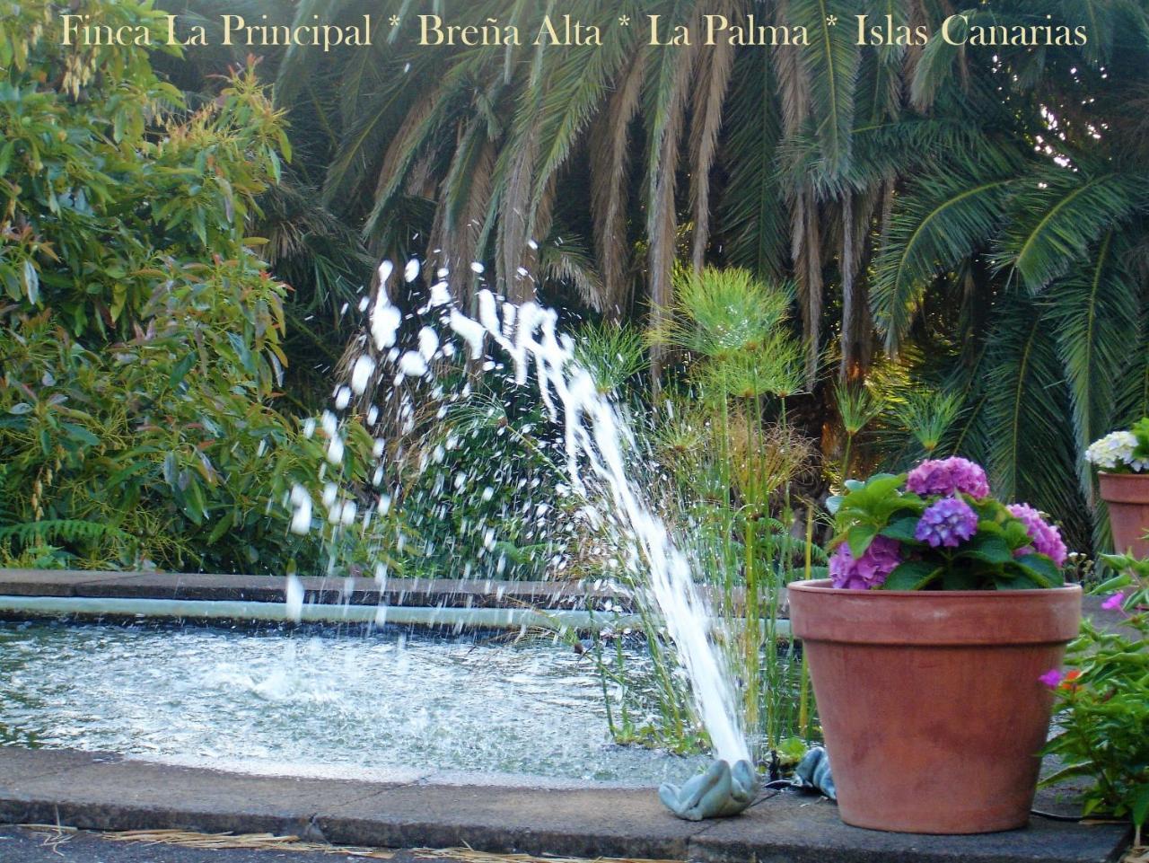 Finca La Principal Брения-Альта Экстерьер фото